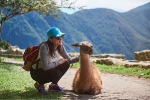 Woman petting a camel.